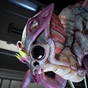 File:Citizen Portrait Festron-04.png