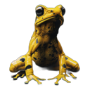 File:Citizen Frogs 81.png