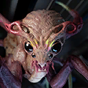 File:Citizen Portrait Festron-01.png