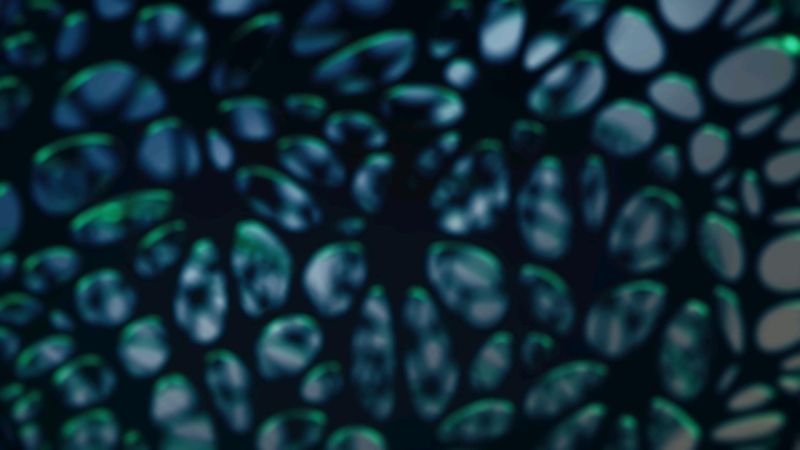 File:Event Cells.jpg